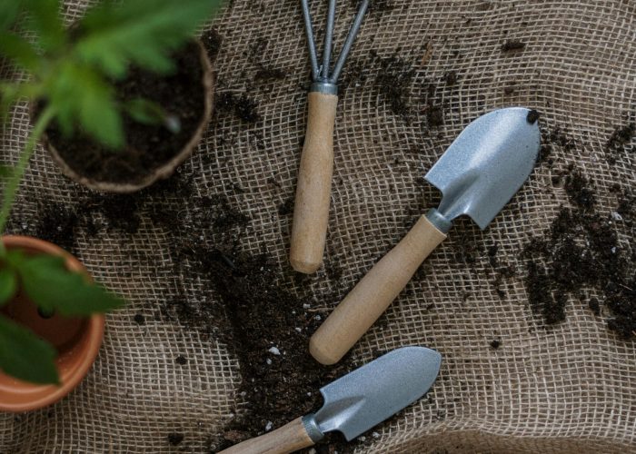 pexels-cottonbro-4503269